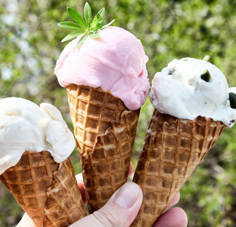 Drei ISKREEM-Waffen in einer Hand, die Kugeln Vanille-, rosa und weißes Eis mit Schokoladenstückchen enthalten. Auf der rosa Kugel befindet sich ein kleines grünes Blatt. Der Hintergrund ist verschwommenes Grün.